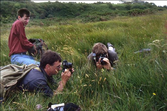 Two people photographing an orchid in grassland with another looking on.