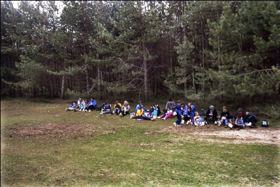 Group of people seated on grass eating pack lunches with conifers behind them.