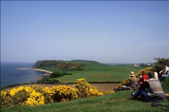 Group of people sitting on a hillside overlooking a headland with beach.