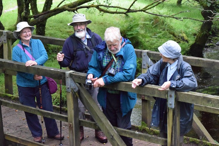 Four people standing on a wooden bridge over a burn.