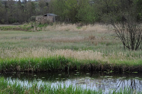 Waterway in foreground and grasses and bird hide in background.