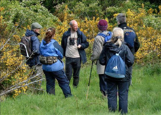 Group of people standing in open grassy area surrounded by flowering Gorse and Hawthorn scrub