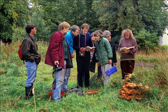 Group of people studying books and standing next to a large honey-coloured .fungusfungus