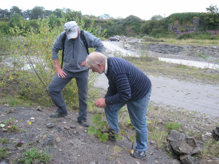 Two members gazing at rocks in gravelly quarry.