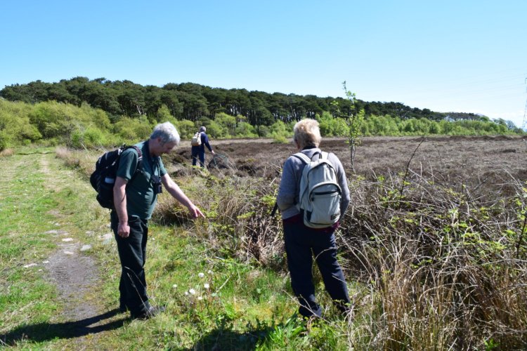 Two members on track in foreground pointing at plants on edge of large area predominantly of mossland