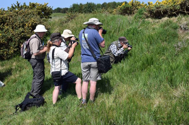 Group of 5 members all pointing cameras at something in grass.