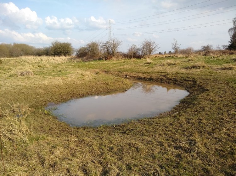 Tear-shaped pond surrounded by short grass with a pylon in the background. The water in the pond is brown and cloudy.