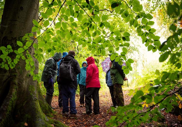 Group of people wearing waterproofs gathered together under a beech tree.