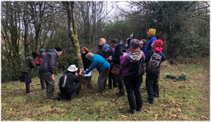 Group of people examining a tree covered in moss and lichens