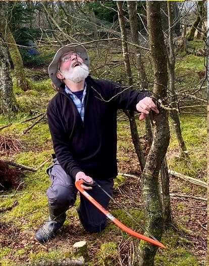 Man holding a bow saw at the base of a tree trunk