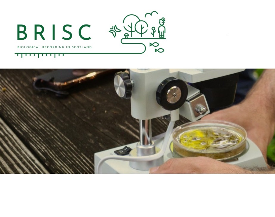 Screengrab from BRISC website bursaries page with BRISC logo and image of a sample being examined under a microscope
