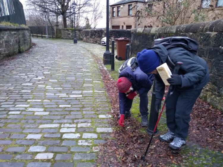 Two people dressed in waterproofs wearing backpacks and woolly hats bending over looking at plants on the ground. They are standing at the edge of a cobbled lane with stone walls on either side.