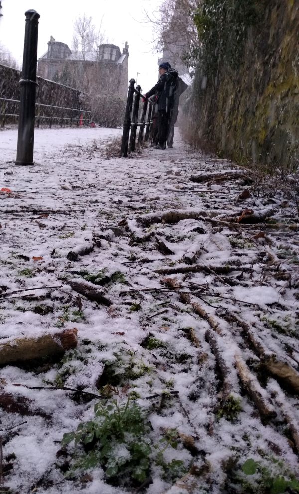 Steep cobbled lane covered in snow with wild plant poking above the snow at the base