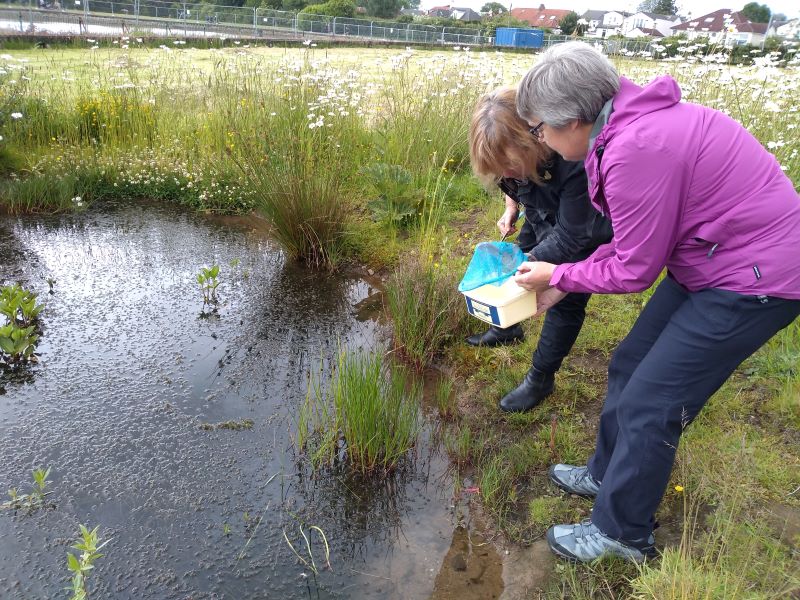 Two people standing at the edge of a small pond emptying a net into a container