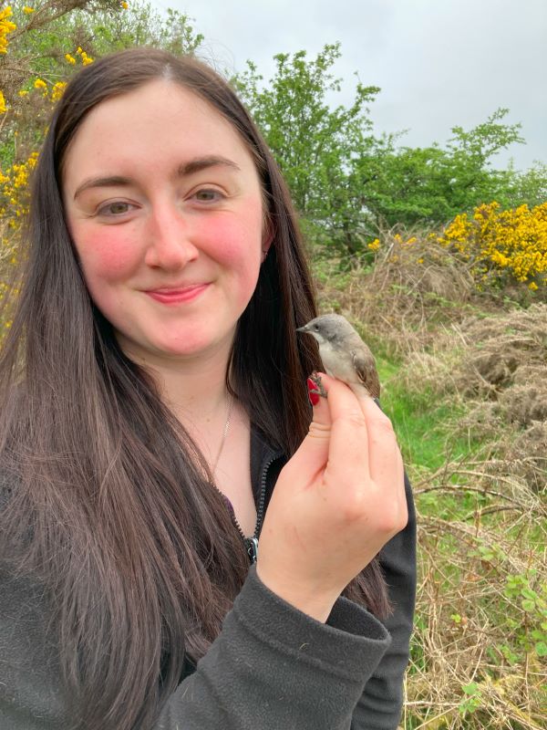 Person holding a bird