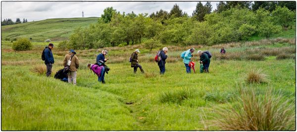 Group of people scattered across open grassland looking downwards