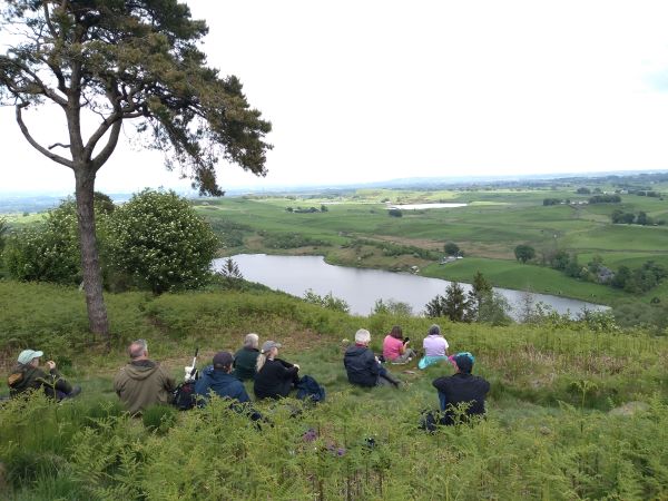 Group of people sitting underneath a pine tree on a hill overlooking a dam