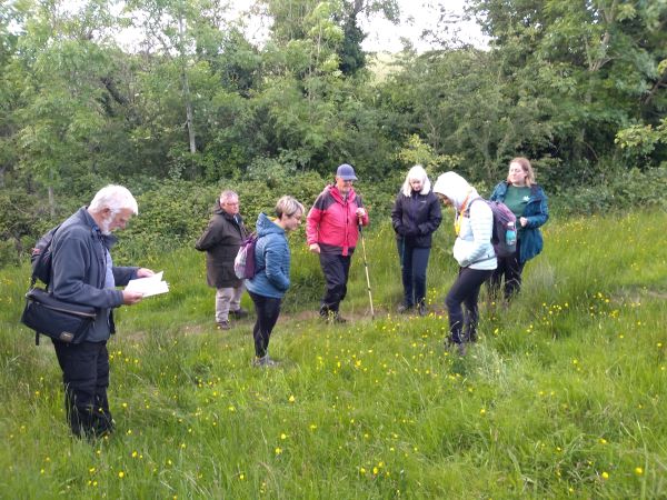 A group of people looking at yellow flowers in a grassy area with trees in the background