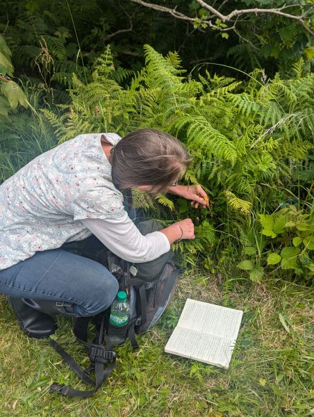 A person kneeling in the grass next to a book, looking at plants.