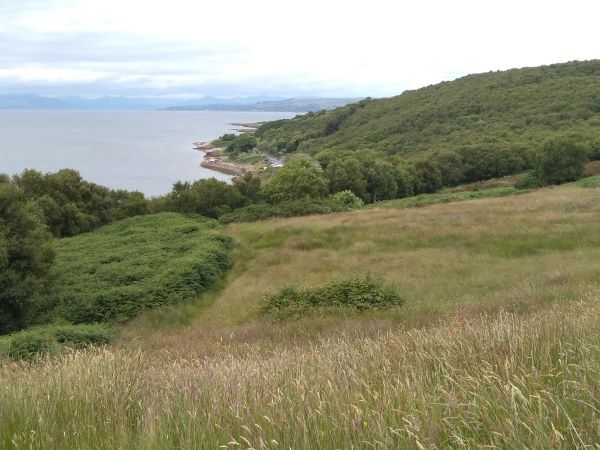 View down a grassy hill looking towards the coastline and a wide estuary with hills in the background.