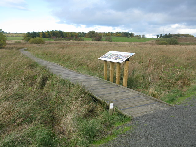 A large flat grassy area with a wooden boardwalk running through the centre
