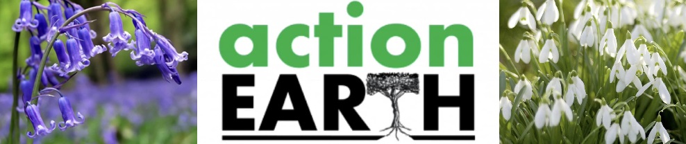 Action Earth logo with pictures of bluebells and snowdrops