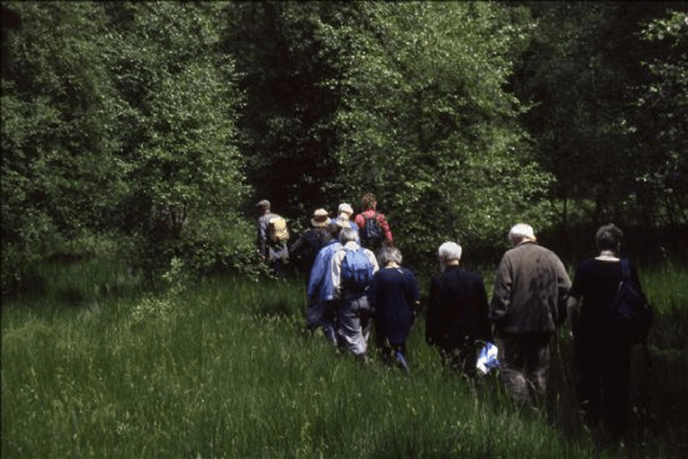 Single file of people walking through grass towards woodland.