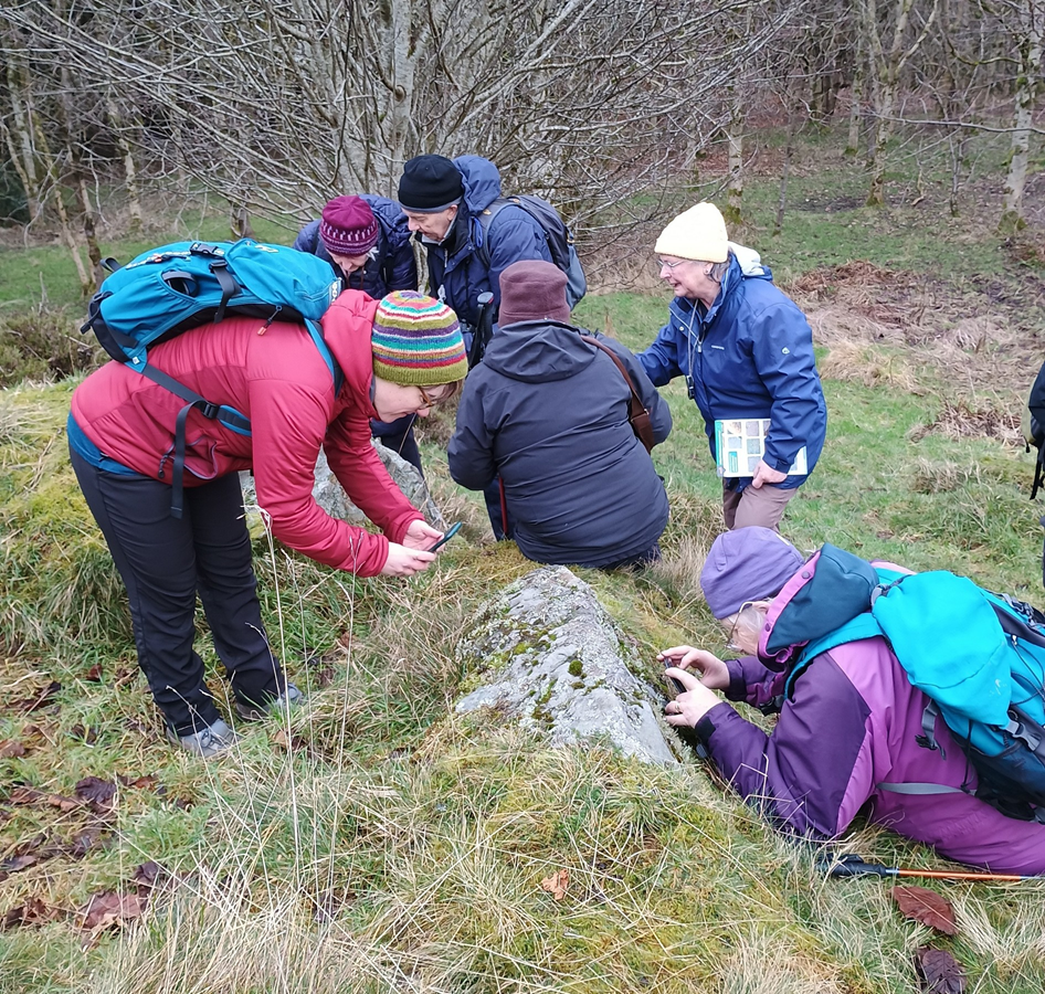 Group of people standing on a grassy slope and photographing lichens on rocks protruding from the ground