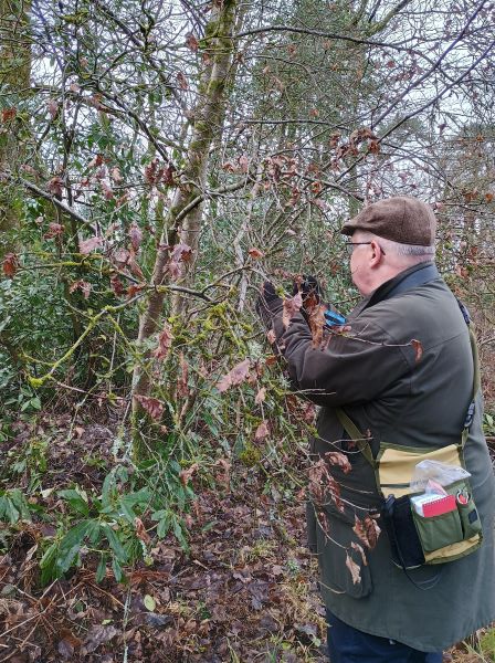 Man with bag of kit studying the twig of a tree
