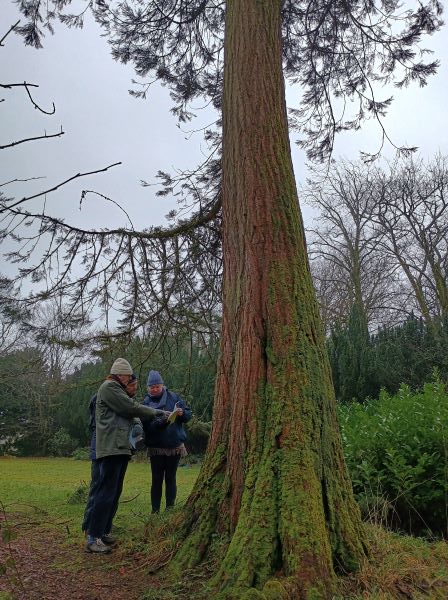 Three people in jackets and woolly hats looking at a book and standing next to a tall conifer with red bark