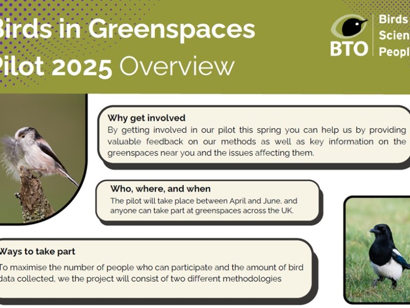 Volunteers wanted for Birds in Green Spaces pilot&nbsp;project