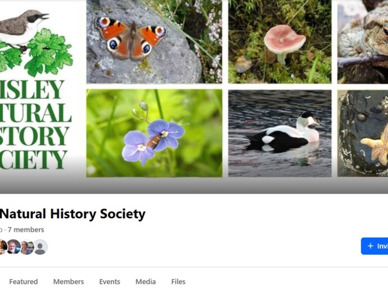 PNHS Facebook group launched&nbsp;today