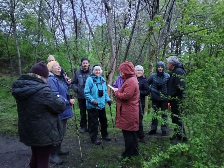 Group of people standing in Woodland at low light wearing waterproofs and binoculars