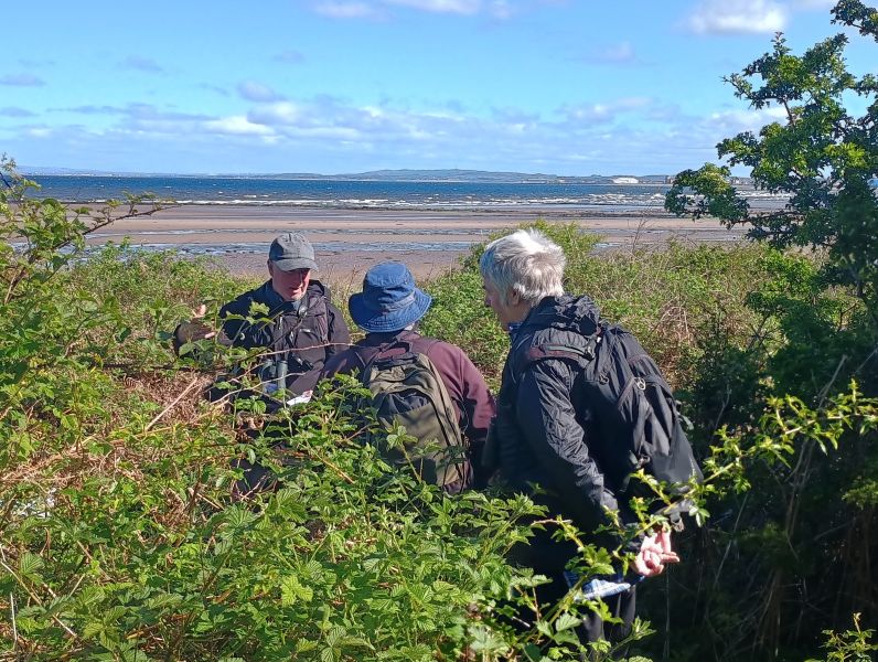 3 people amoungst shrubs next to beach