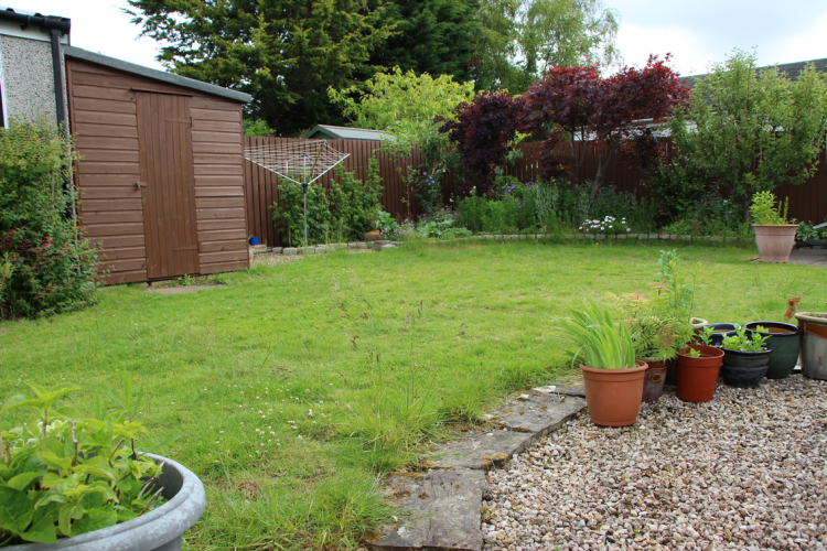 Back garden with shed area of short grass and bordered by gravel