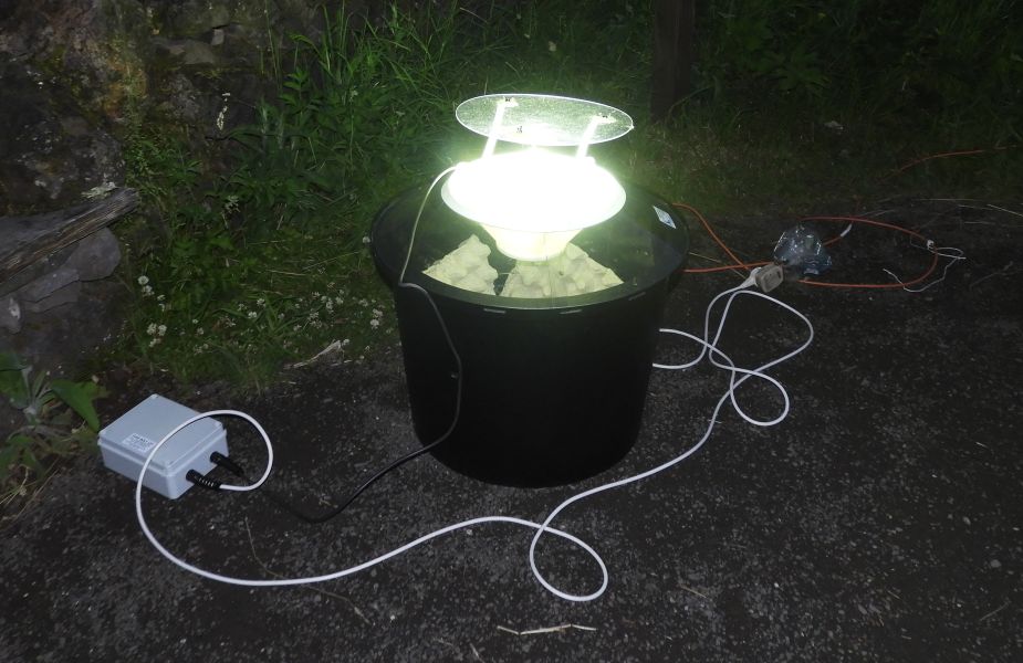 Brightly lit moth trap