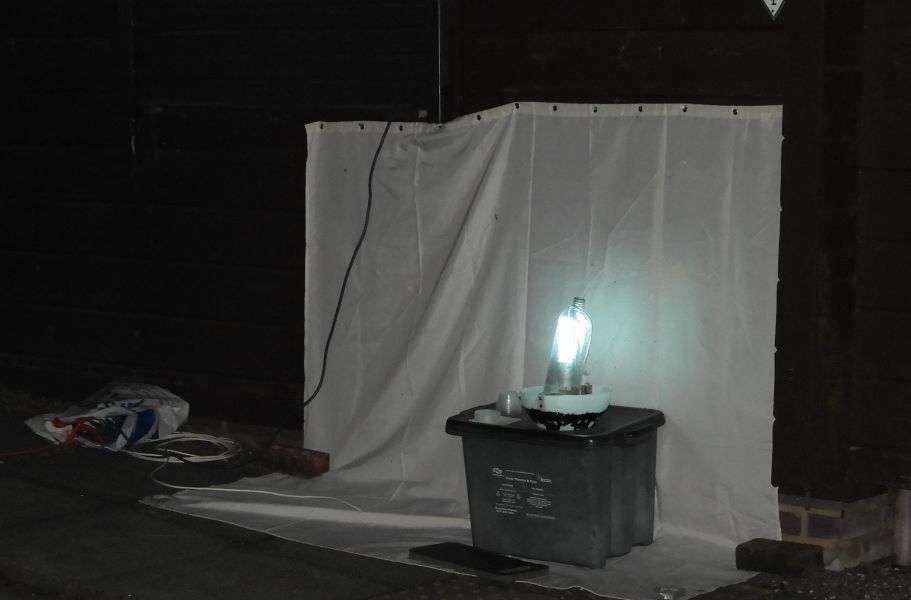 Brightly lit moth trap with white sheet behind