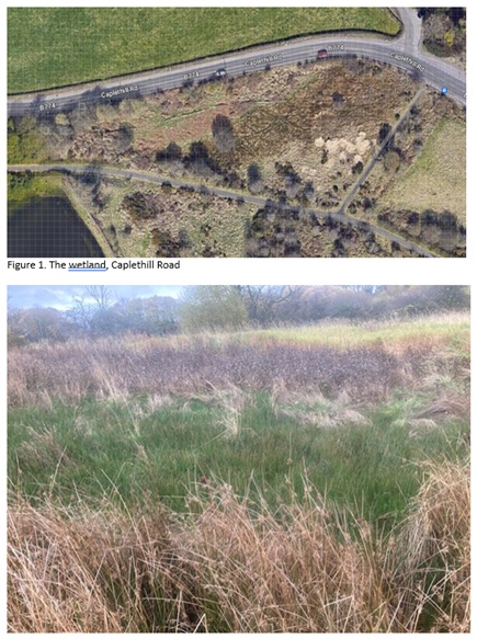 screenshot of a page with a satellite image of a wetland and photograph of the wetland at from ground level