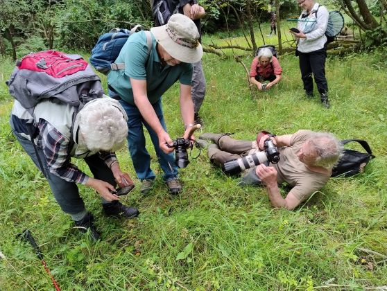 A group of people pointing cameras at the ground