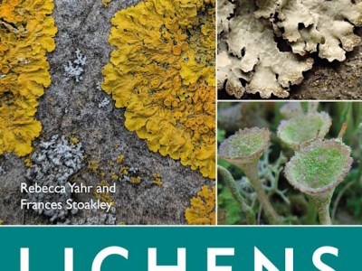 Book review: Lichens of Britain and Ireland – An Introductory Guide by Rebecca Yahr & Frances&nbsp;Stoakley