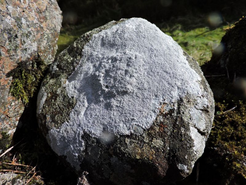 Close up of a rock covered i n a white powdery crust
