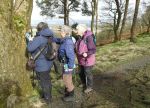 Examining tree lichens