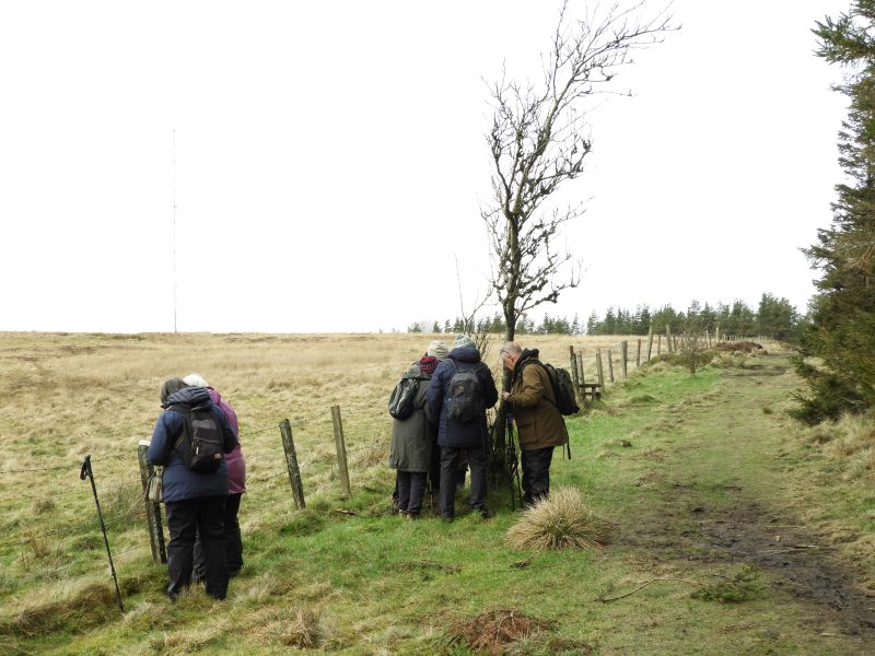 Group of people examining fence posts