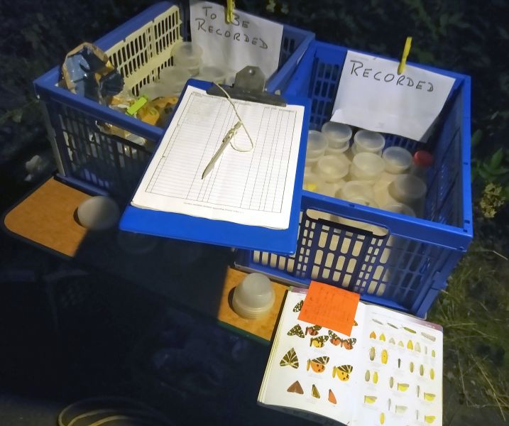 Crates containiing sample tubs with moths, a recording sheet and ID book placed on a table