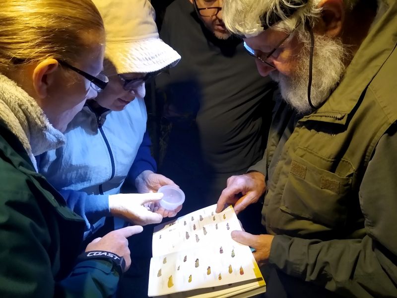 group of people looking a a moth identification guide
