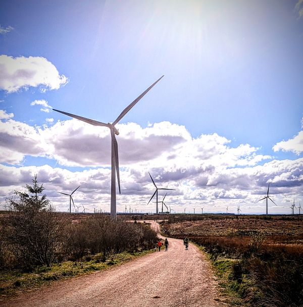 Windfarm with a track running through it and a number of wind turbines silhouetted against a cloudy blue sky and bushes on either side of the track