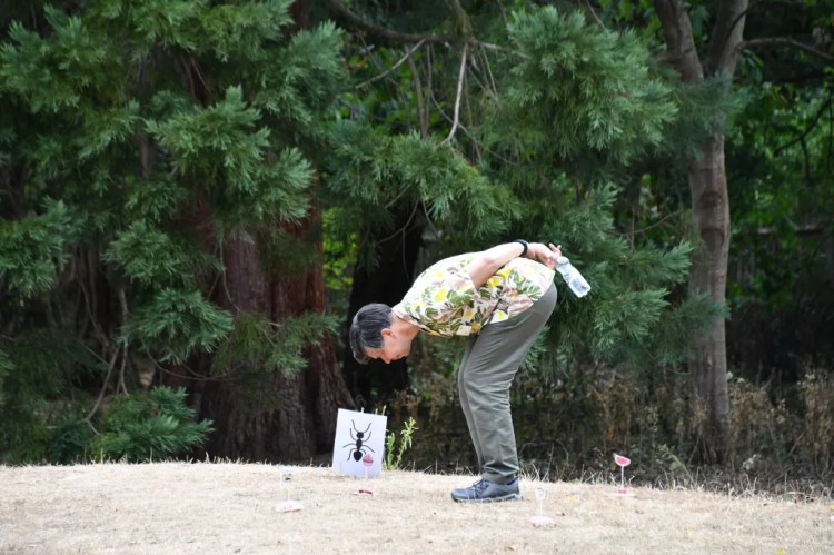 Man bent over looking at the ground with a picture of an ant on the ground behind.