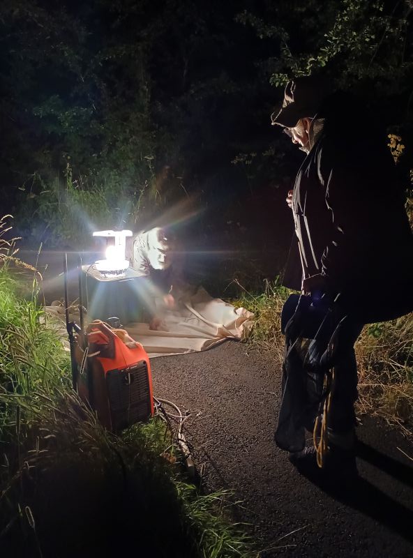 Man on his knees on top of a white sheet next to a moth trap. another person is standing watching