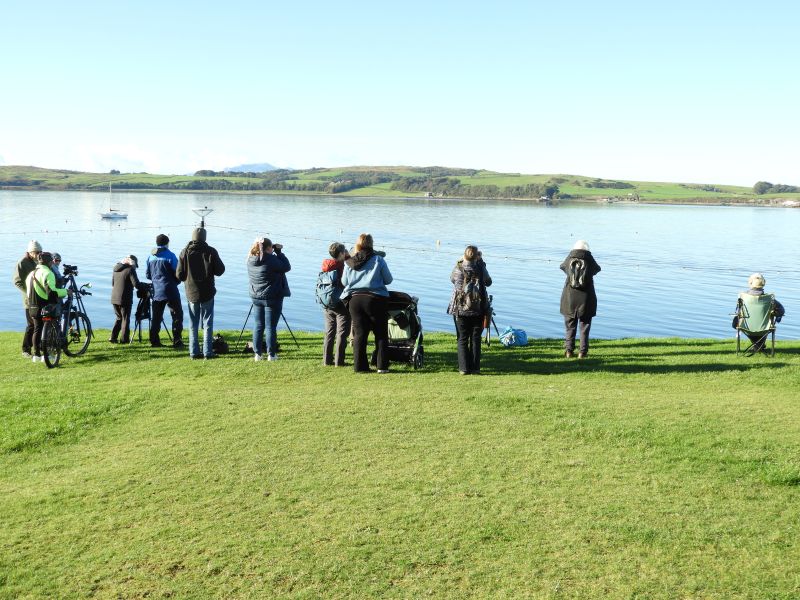 Group of people standing looking out to sea with binoculars and scopes on stands